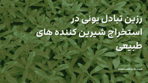 رزین تبادل یونی در استخراج شیرین کننده های طبیعی