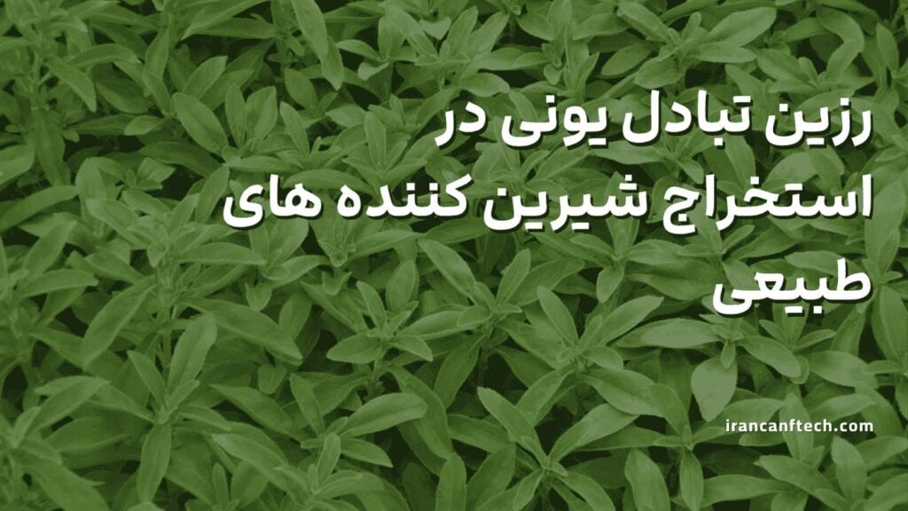 رزین-تبادل-یونی-در-استخراج-شیرین-کننده-های-طبیعی